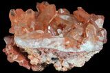 Natural, Red Quartz Crystal Cluster - Morocco #84371-1